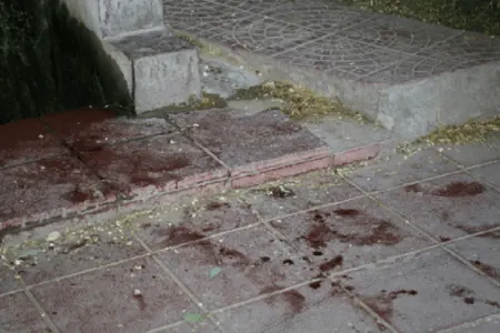 Bakıda parkda dəhşətli hadisə
