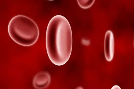 Aprelin 17-si Dünya Hemofiliya Günüdür