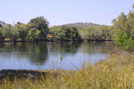 Çaylarda suyun səviyyəsində artım davam edir
