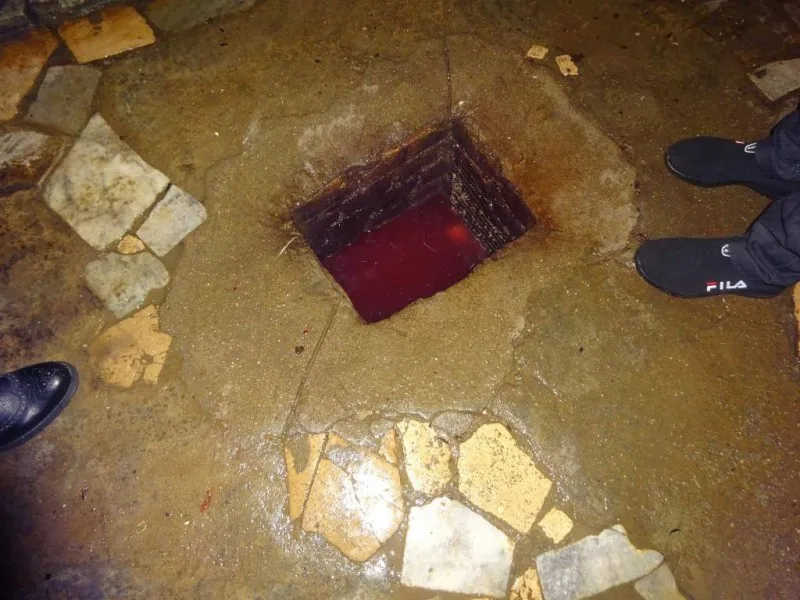 Bakıda daha bir qanunsuz toyuq sexi aşkarlanıb - FOTO