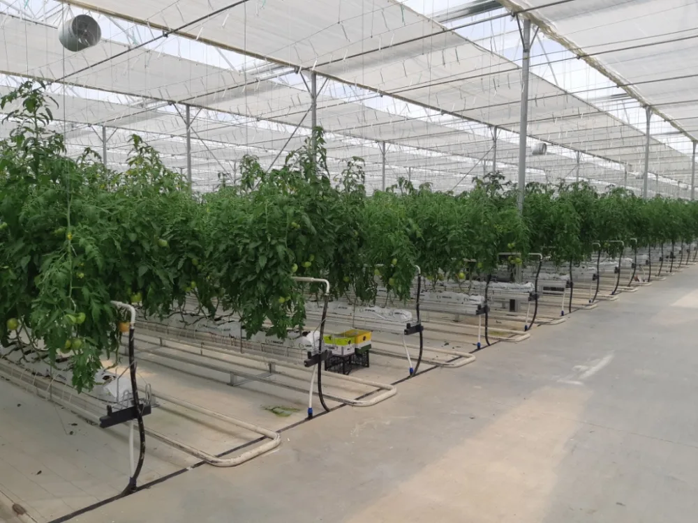 Bakı qəsəbələrində fəaliyyət göstərən sahibkarlara güzəştli kredit verilib