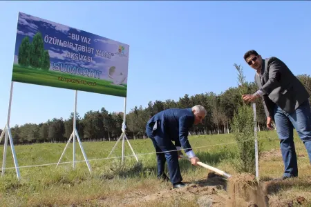 Jurnalistlər Sumqayıtda ağac əkdi - FOTO