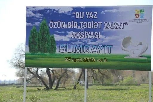 Jurnalistlər Sumqayıtda ağac əkdi - FOTO