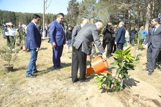 Jurnalistlər Sumqayıtda ağac əkdi - FOTO