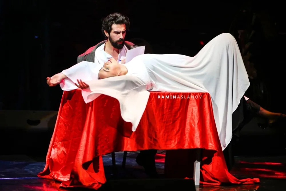 Elza Seyidcahanın konsertində yaşananlar - FOTO