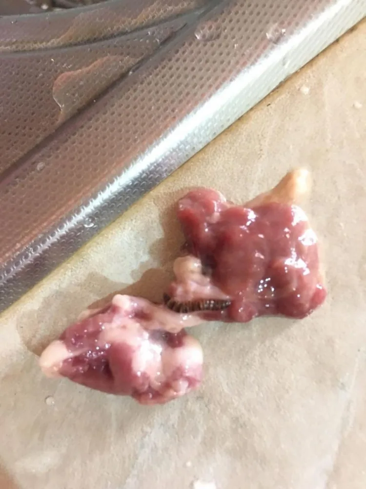 Araz marketdən ciyər aldı, qurdlu çıxdı- - FOTO-VİDEO - YENİLƏNİB - AÇIQLAMA