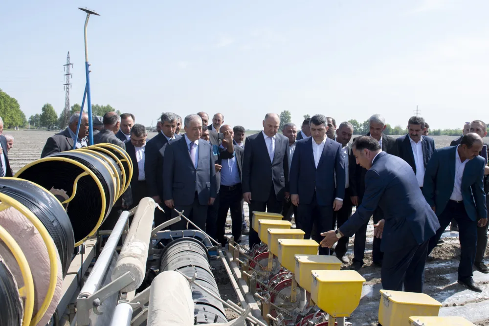 Azərbaycanda Çin texnologiyası əsasında pambıq əkiləcək