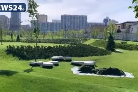 Bakının mərkəzində unikal park salındı - FOTOLAR