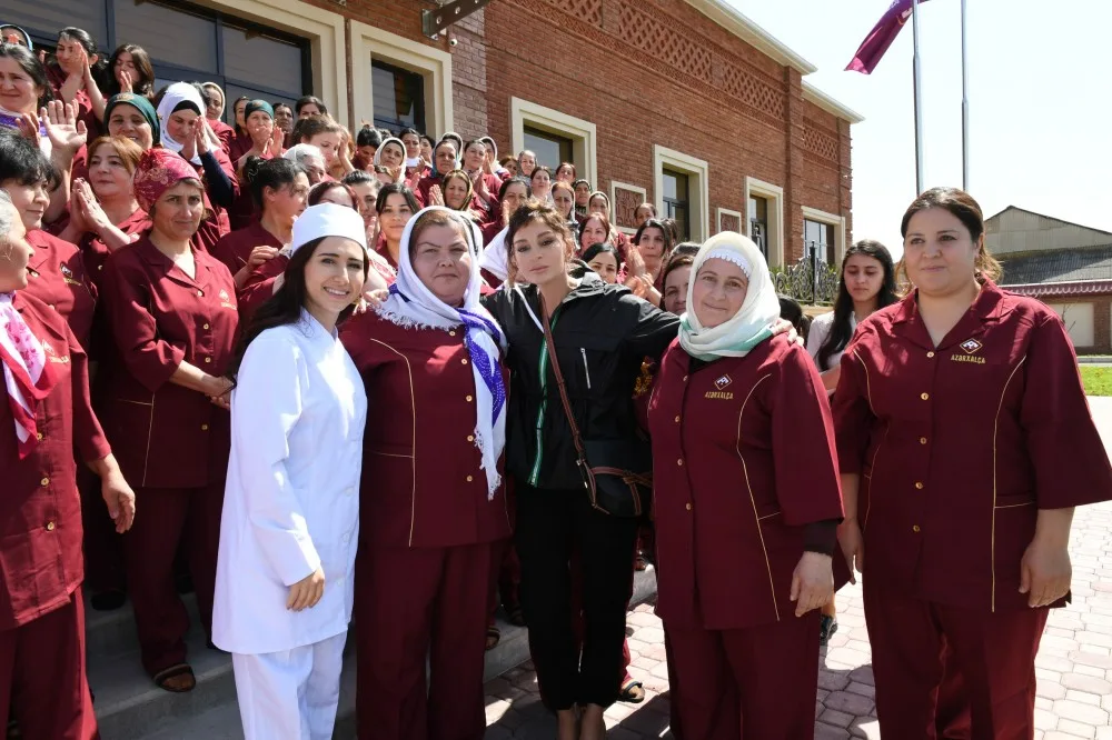 "31 xalça fabrikinin yaradılması nəzərdə tutulur" - Prezident İlham Əliyev - FOTOLAR - VİDEO