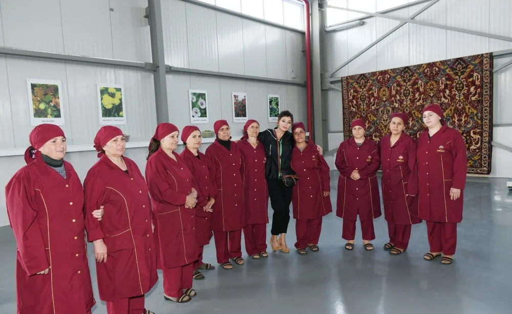 "31 xalça fabrikinin yaradılması nəzərdə tutulur" - Prezident İlham Əliyev - FOTOLAR - VİDEO