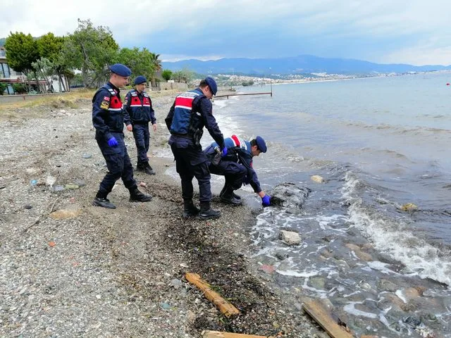 Dənizdən 1,5 ton marixuana çıxarıldı - FOTO - VİDEO