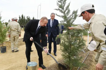 Prezident İlham Əliyev və ailəsi ağacəkmə aksiyasında - FOTOLAR - YENİLƏNİB