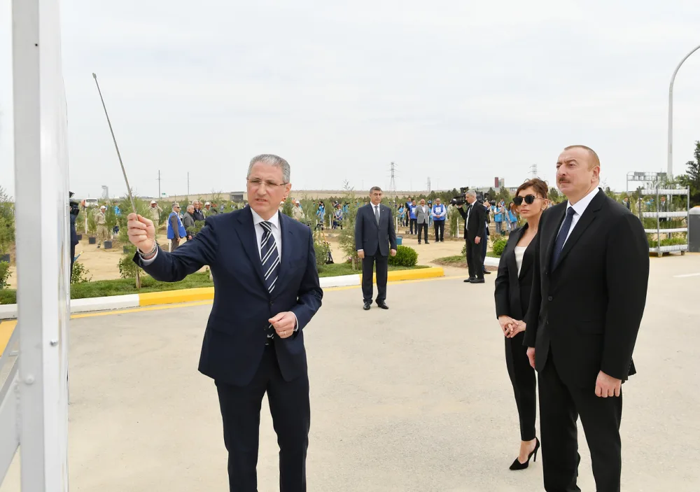 Prezident İlham Əliyev və ailəsi ağacəkmə aksiyasında - FOTOLAR - YENİLƏNİB