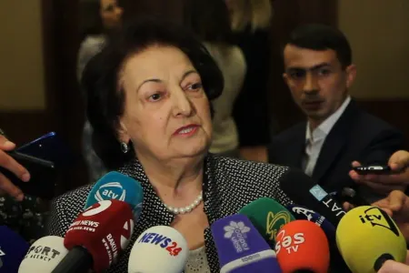 Elmira Süleymanova: - “Regionlarda sığınacaqlar yaratmağa ehtiyac var”