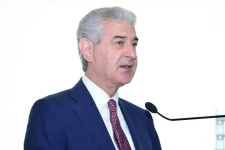"Bu, Azərbaycan hökümətinin üzərinə düşən məsələdir" - Əli Əhmədov