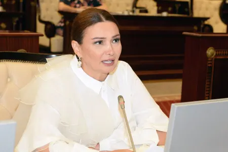 “Bu rüsumlar narazılığa gətirib çıxaracaq” - MİLLƏT VƏKİLİ - VİDEO