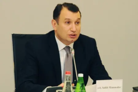 Nazir müavini: - “Diqlasdakı yanğınla bağlı istintaq gedir”