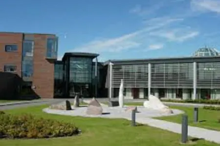 Təhsil Nazirliyi universitet yataqxanalarının təmirinə başlayıb