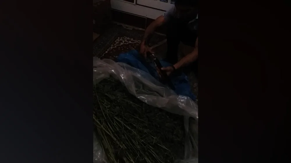 DİN: 19 kiloqram narkotik vasitə dövriyyədən çıxarılıb - VİDEO
