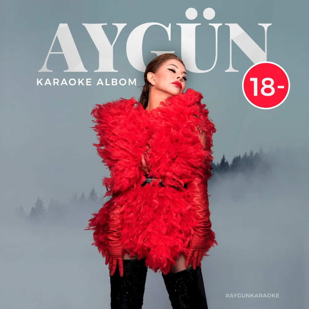 Aygün Kazımova şam yeməyinə dəvət edir - “18 -” Layihəsi - FOTO