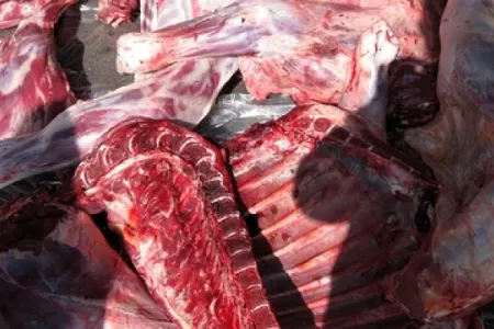 Bərdədə mənşəyi məlum olmayan 180 kilo - ƏT AŞKARLANIB