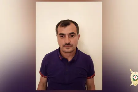 Bakıda 1 tondan artıq çətənə kollarının əkildiyi narkoplantasiya - AŞKAR EDİLİB - FOTO - VİDEO