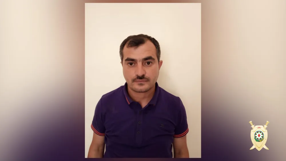 Bakıda 1 tondan artıq çətənə kollarının əkildiyi narkoplantasiya - AŞKAR EDİLİB - FOTO - VİDEO