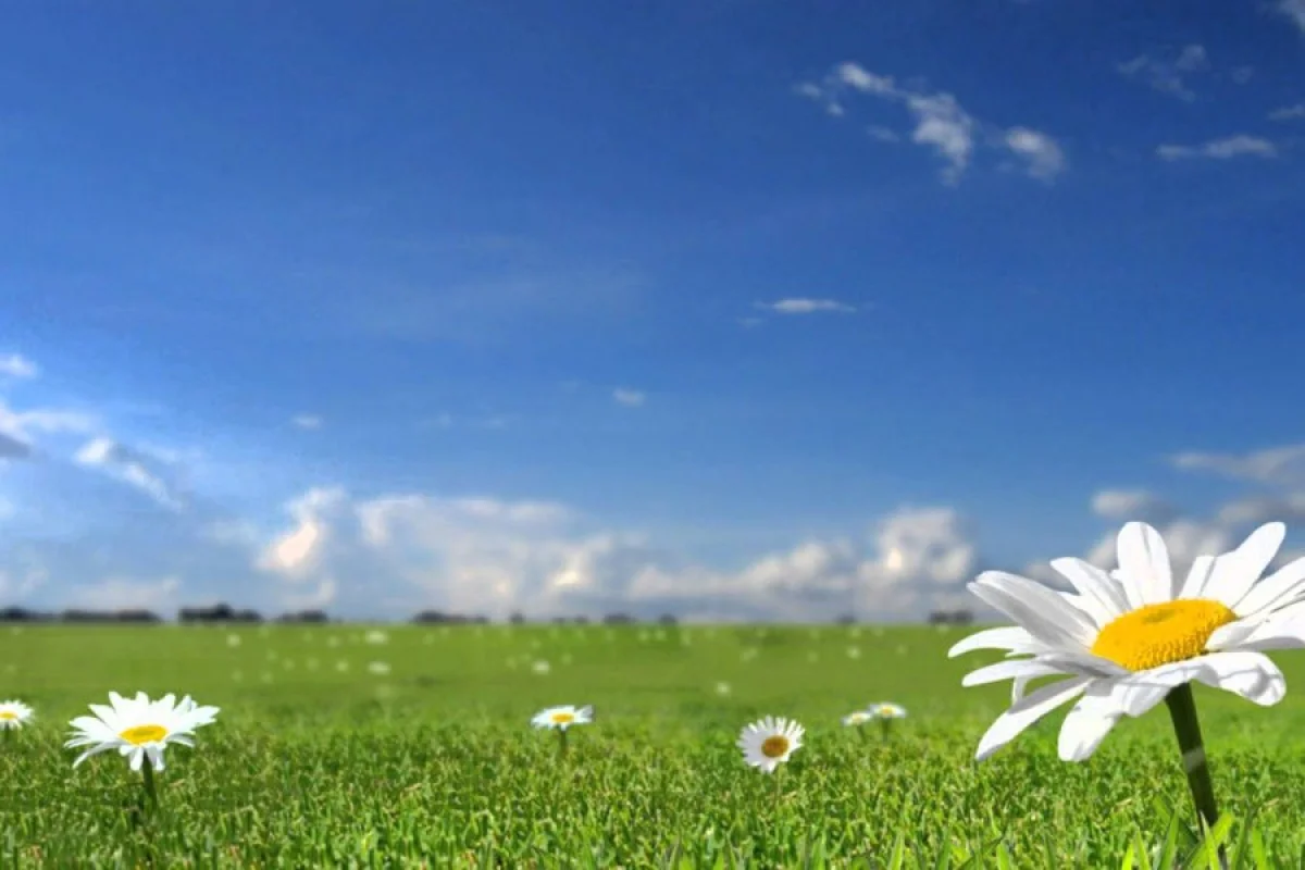 İstirahət gününün havası - AÇIQLANDI