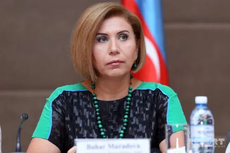 “Ermənistanın mövqeyi sülhə təhdid olaraq qalır” - Bahar Muradova