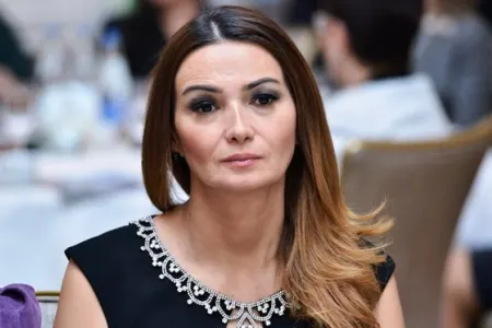 Qənirə Paşayeva: "Bütün xəstəxanalarda klinik tibbi protokol olmalıdır" - VİDEO