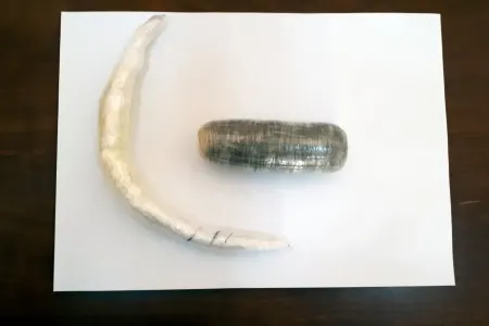 Azərbaycana bağırsağında heroin gətirmək istədi