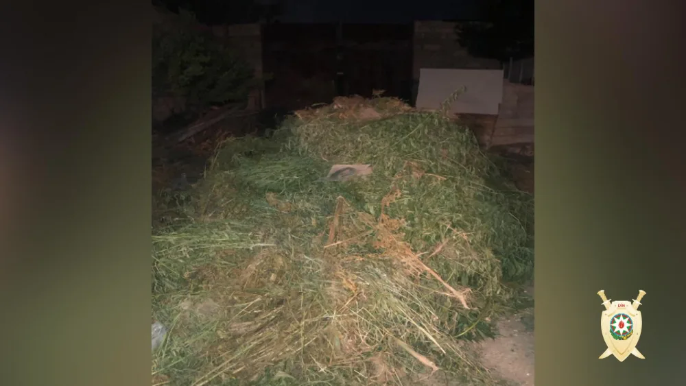 Bakıda 600 kiloqramdan artıq narkotik - DÖVRİYYƏDƏN ÇIXARILIB - FOTO - VİDEO