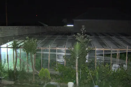 İstixanadan 244 kiloqramlıq çətənə kolu - AŞKARLANDI - FOTO - VİDEO