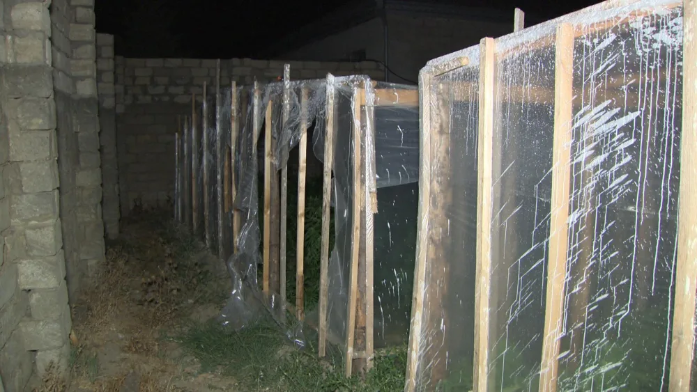 İstixanadan 244 kiloqramlıq çətənə kolu - AŞKARLANDI - FOTO - VİDEO