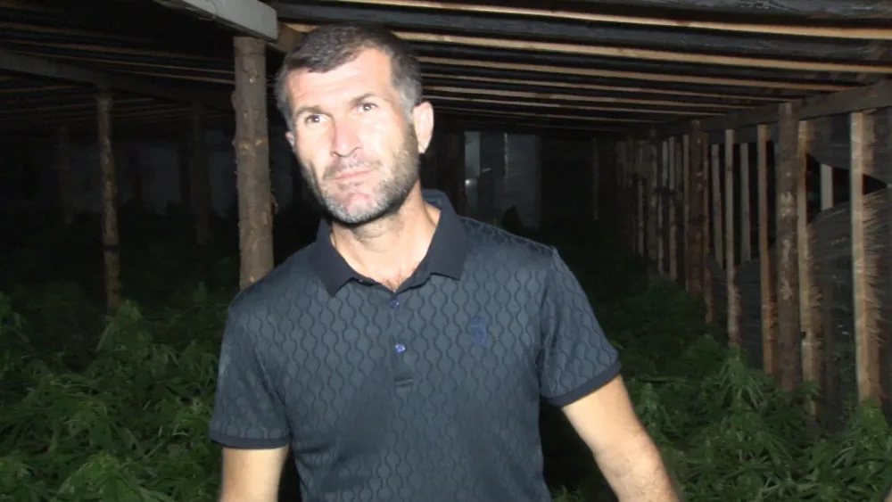 İstixanadan 244 kiloqramlıq çətənə kolu - AŞKARLANDI - FOTO - VİDEO