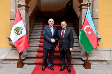 Elmar Məmmədyarov Peruda ikitərəfli görüşlər keçirib - FOTO