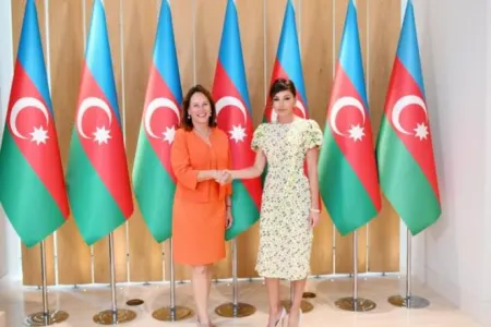 Mehriban Əliyeva Fransa şirkətlərinin Azərbaycanda uğurlu fəaliyyətindən - DANIŞDI