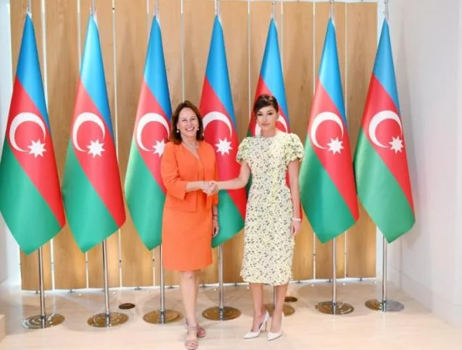 Mehriban Əliyeva Fransa şirkətlərinin Azərbaycanda uğurlu fəaliyyətindən - DANIŞDI