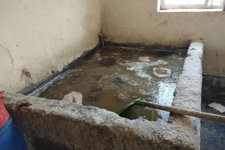 Bunu görəndən sonra içalat ALMAYACAQSINIZ - BAKIDAKI SEXDƏN ŞOK FOTOLAR