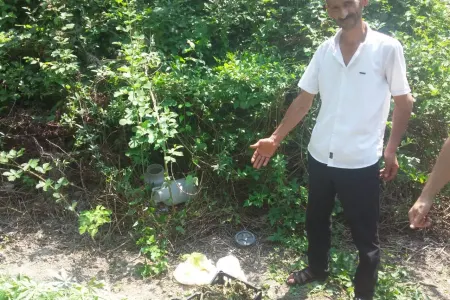 Çay kənarında narkotik bitki yetişdirən İsmayıllı sakini SAXLANILDI