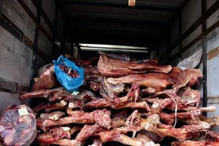Mənşəyi məlum olmayan 375 kiloqram ət AŞKARLANDI - DİQQƏTLİ OLUN