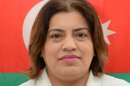 Məhkəmədən Elinanın intihar etdiyi məktəbin direktoru ilə bağlı - QƏRAR