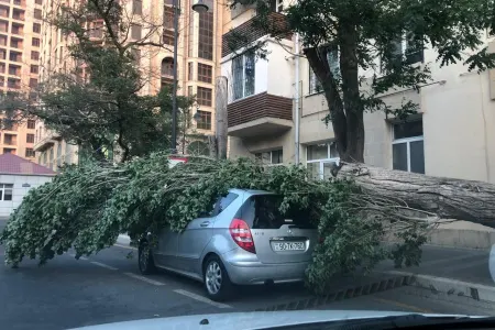 Bakıda güclü külək nəticəsində TƏHLÜKƏLİ ANLAR YAŞANDI - FOTO-VİDEO