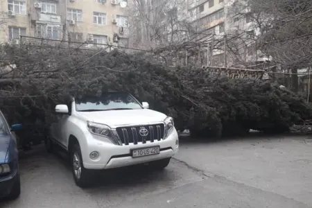 SÜRÜCÜLƏRİN NƏZƏRİNƏ: Ehtiyatlı olun