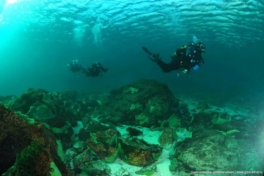 Azərbaycanda adrenalin sevənlər üçün - - Raftinq, Dayvinq, Hidrosikl, Kaytserfinq, SUP serfinq