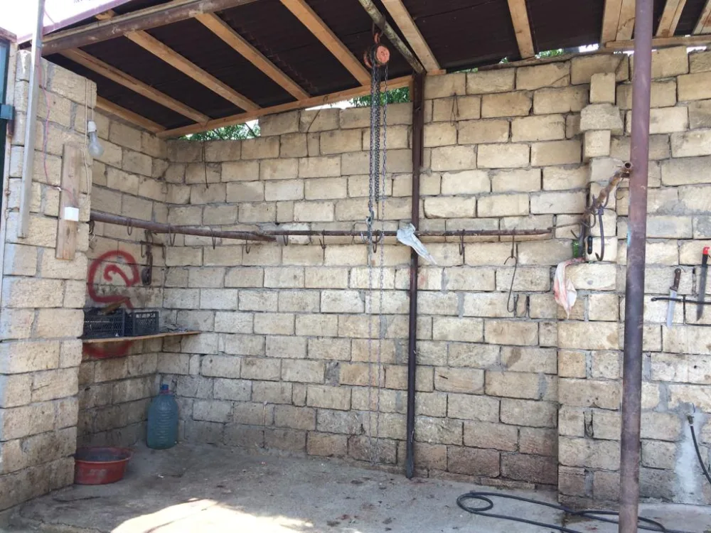 Rayonlarda qanunsuz heyvan kəsimi ilə bağlı - REYDLƏR KEÇİRİLİB