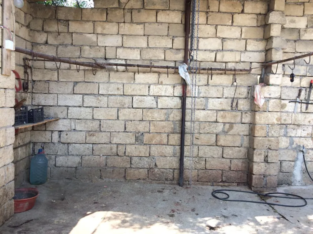 Rayonlarda qanunsuz heyvan kəsimi ilə bağlı - REYDLƏR KEÇİRİLİB