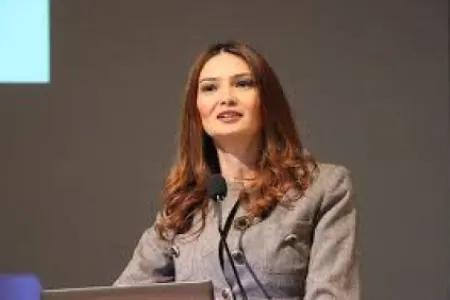 Millət vəkili Namibiyanın baş naziri ilə görüşdə Qarabağ həqiqətlərindən danışdı