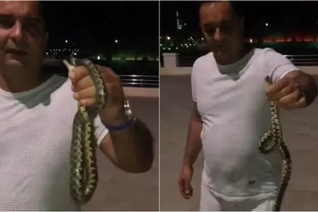 Zoologiya İnstitutundan bulvarda ilanların peyda olmasına münasibət: - "TƏHLÜKƏLİ DEYİL"