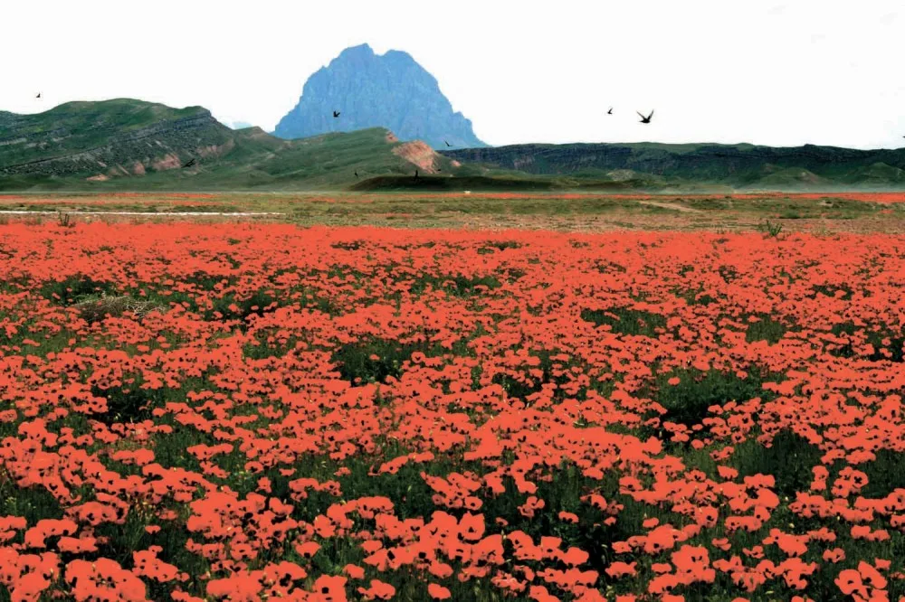Naxçıvanda turist olsaq - hansı məkanlara üz tutaq?